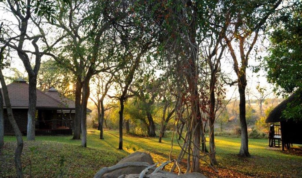 Idube Game Reserve Sabi-Sand-Reservat Exterior foto