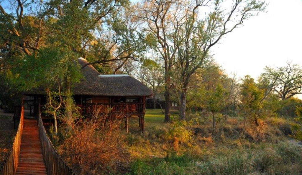 Idube Game Reserve Sabi-Sand-Reservat Zimmer foto
